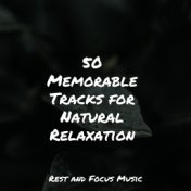 50 Memorable Tracks for Natural Relaxation