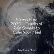 Stress Free 2020 - Tracks of Rain Sounds to Calm Your Mind