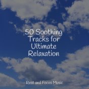 50 Soothing Tracks for Ultimate Relaxation