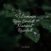 50 Summer Rain Sounds - Natural Rainfall