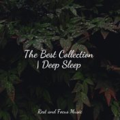 The Best Collection | Deep Sleep