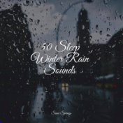 50 Sleep Winter Rain Sounds