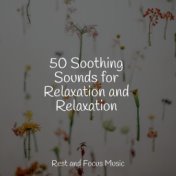 50 Soothing Sounds for Relaxation and Relaxation