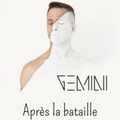 Après la bataille