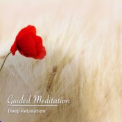 14 Guided Meditation Songs: Deep Relaxation