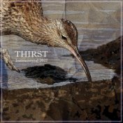 Thirst (Instrumental)