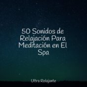 50 Sonidos de Relajación Para Meditación en El Spa