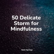50 Delicate Storm for Mindfulness