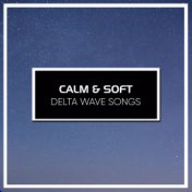 #14 Calm & Soft Delta Wave Songs