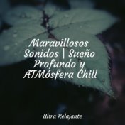 Maravillosos Sonidos | Sueño Profundo y ATMósfera Chill