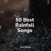 50 Best Rainfall Songs