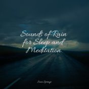 Sounds of Rain for Sleep and Meditation