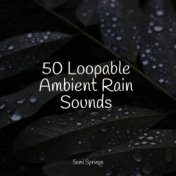 50 Loopable Ambient Rain Sounds