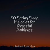 50 Spring Sleep Melodies for Peaceful Ambience