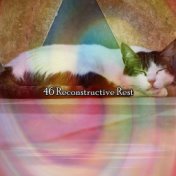46 Reconstructive Rest