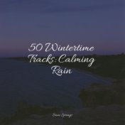 50 Wintertime Tracks: Calming Rain