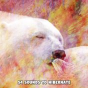 54 Sounds To Hibernate