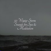 50 Winter Storm Sounds for Spa & Meditation