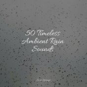 50 Timeless Ambient Rain Sounds