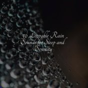 50 Rain Sounds - Calming Rain Sounds