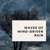 Waves of Wind-Driven Rain