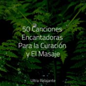 50 Canciones Encantadoras Para la Curación y El Masaje