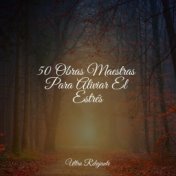 50 Obras Maestras Para Aliviar El Estrés