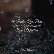 50 Pistas Zen Para Una Experiencia de Spa Definitiva