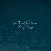 50 Beautiful Rain Drop Songs