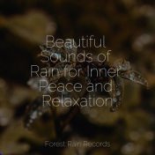 Beautiful Sounds of Rain for Inner Peace and Relaxation