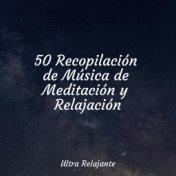 50 Recopilación de Música de Meditación y Relajación