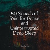 50 Sounds of Rain for Peace and Uninterrupted Deep Sleep