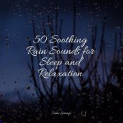 50 Soothing Rain Sounds for Sleep and Relaxation