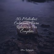 50 Melodías Calmantes Para Relajarse Por Completo