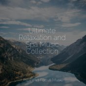 Ultimate Relaxation and Spa Music Collection