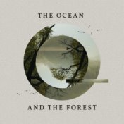 The Ocean and the Forest