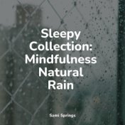 Sleepy Collection: Mindfulness Natural Rain