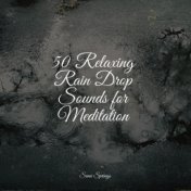 50 Relaxing Rain Drop Sounds for Meditation