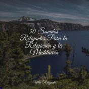 50 Sonidos Relajantes Para la Relajación y la Meditación