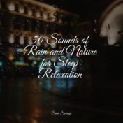50 Sounds of Rain and Nature for Sleep Relaxation