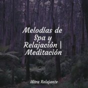 Melodías de Spa y Relajación | Meditación