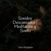 Sonidos Descansados | Meditación y Sueño