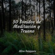 50 Sonidos de Meditación y Trueno