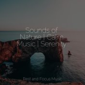 Sounds of Nature | Calm Music | Serenity