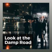 Look at the Damp Road