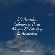 50 Sonidos Calmantes Para Aliviar El Estrés y la Ansiedad