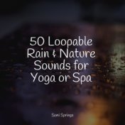 50 Loopable Rain & Nature Sounds for Yoga or Spa