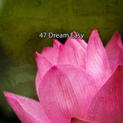47 Dream Easy
