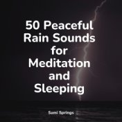 50 Peaceful Rain Sounds for Meditation and Sleeping