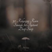 50 Relaxing Rain Sounds for Instant Deep Sleep